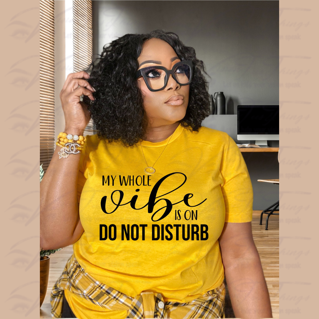 My Whole Vibe is on Do Not Disturb T-Shirt